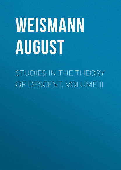 Studies in the Theory of Descent, Volume II