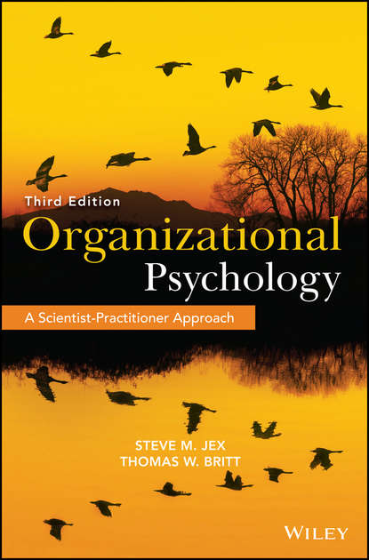 Organizational Psychology. A Scientist-Practitioner Approach