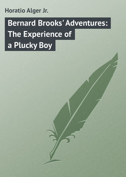 Bernard Brooks&apos; Adventures: The Experience of a Plucky Boy