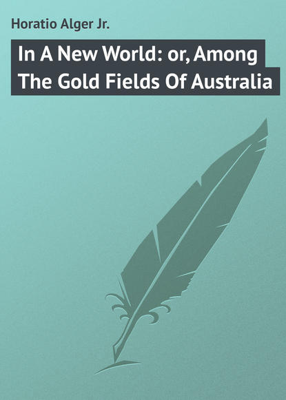 In A New World: or, Among The Gold Fields Of Australia
