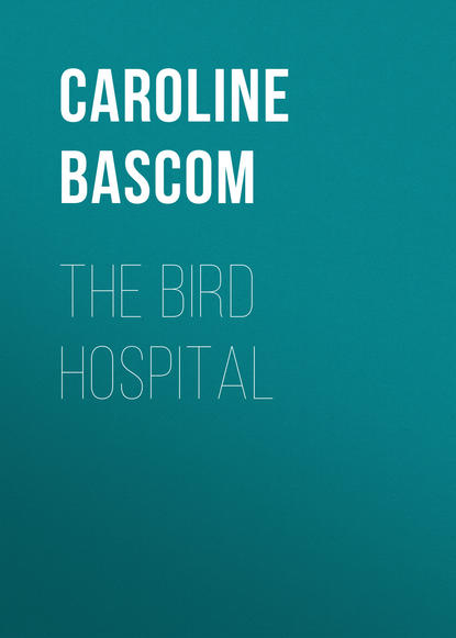 The Bird Hospital