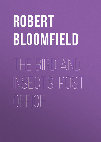 The Bird and Insects&apos; Post Office