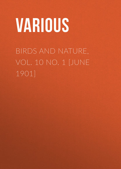 Birds and Nature, Vol. 10 No. 1 [June 1901]