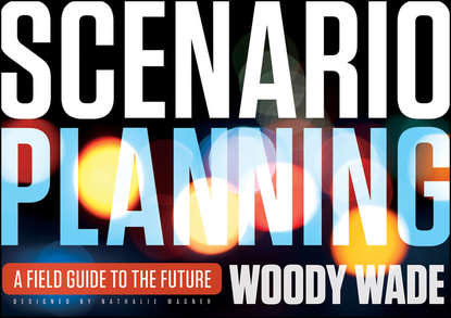 Scenario Planning. A Field Guide to the Future