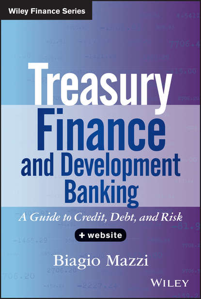 Treasury Finance and Development Banking. A Guide to Credit, Debt, and Risk
