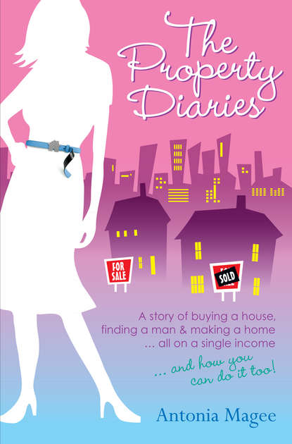 The Property Diaries. A Story of Buying a House, Finding a Man and Making a Home.. All on a Single Income!