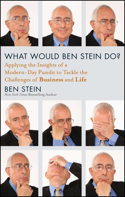 What Would Ben Stein Do?. Applying the Wisdom of a Modern-Day Prophet to Tackle the Challenges of Work and Life