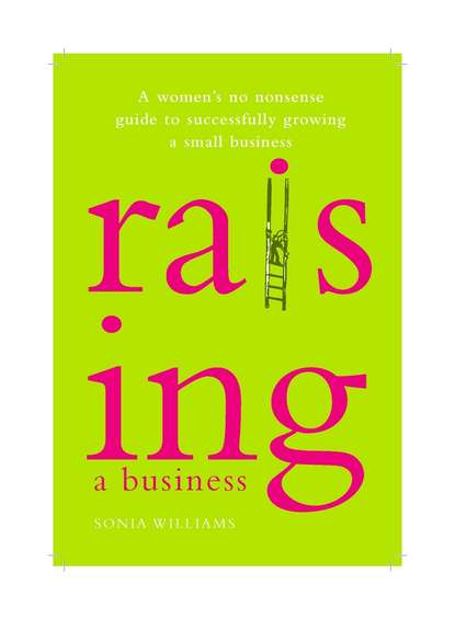Raising a Business. A Woman's No-nonsense Guide to Successfully Growing a Small Business
