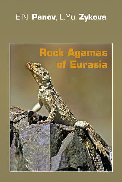 Rock Agamas of Eurasia / Горные агамы Евразии