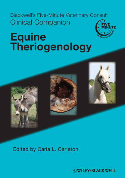 Blackwell's Five-Minute Veterinary Consult Clinical Companion. Equine Theriogenology