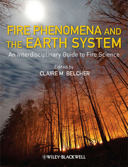 Fire Phenomena and the Earth System. An Interdisciplinary Guide to Fire Science