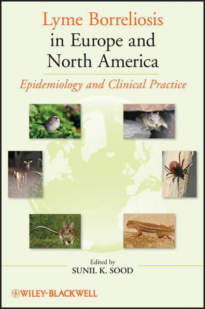 Lyme Borreliosis in Europe and North America. Epidemiology and Clinical Practice