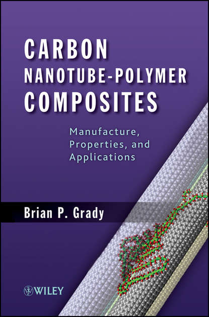 Carbon Nanotube-Polymer Composites. Manufacture, Properties, and Applications
