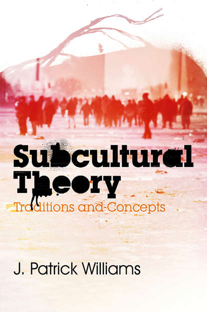 Subcultural Theory. Traditions and Concepts
