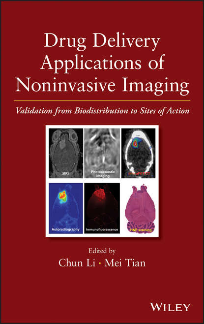 Drug Delivery Applications of Noninvasive Imaging. Validation from Biodistribution to Sites of Action