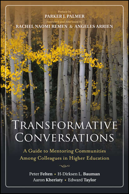 Transformative Conversations. A Guide to Mentoring Communities Among Colleagues in Higher Education
