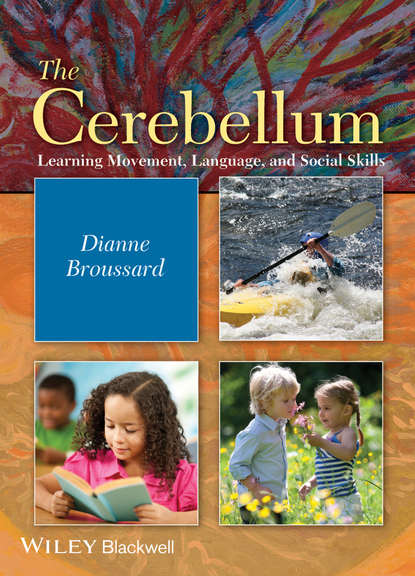 The Cerebellum. Learning Movement, Language, and Social Skills