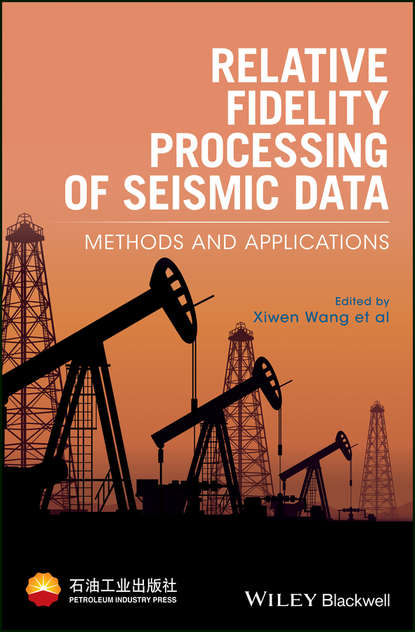 Relative Fidelity Processing of Seismic Data. Methods and Applications