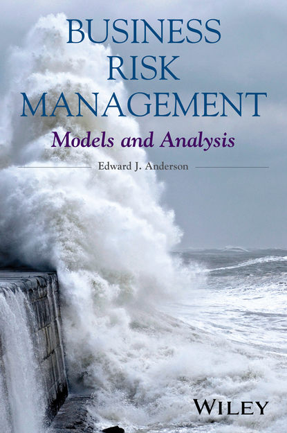 Business Risk Management. Models and Analysis