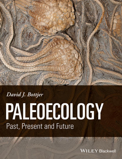 Paleoecology. Past, Present and Future