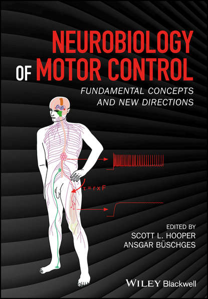 Neurobiology of Motor Control. Fundamental Concepts and New Directions