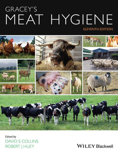 Gracey&apos;s Meat Hygiene
