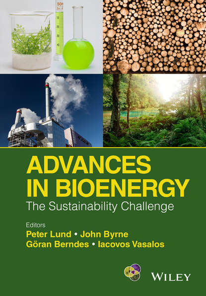 Advances in Bioenergy. The Sustainability Challenge