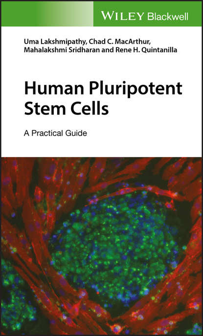 Human Pluripotent Stem Cells. A Practical Guide