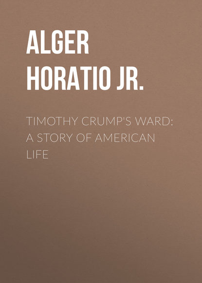 Timothy Crump&apos;s Ward: A Story of American Life