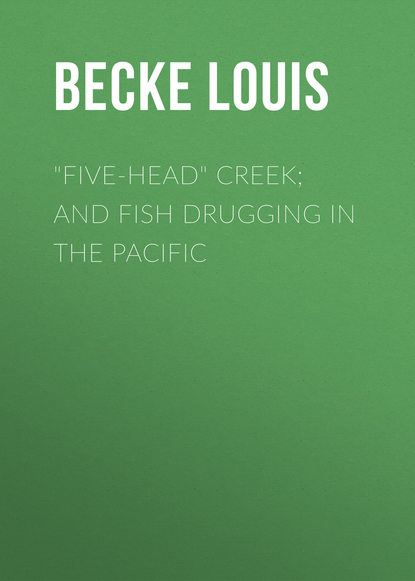 &quot;Five-Head&quot; Creek; and Fish Drugging In The Pacific