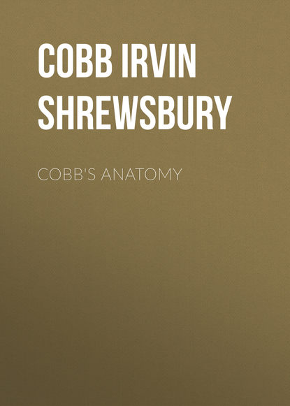 Cobb&apos;s Anatomy