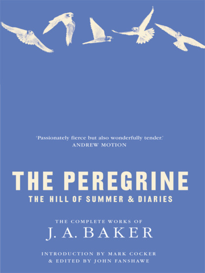 The Peregrine: The Hill of Summer & Diaries: The Complete Works of J. A. Baker