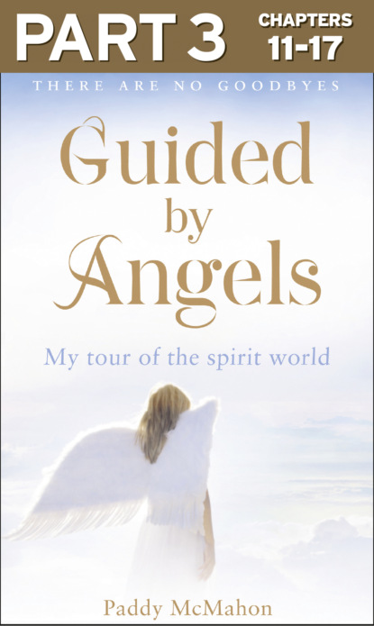 Guided By Angels: Part 3 of 3: There Are No Goodbyes, My Tour of the Spirit World
