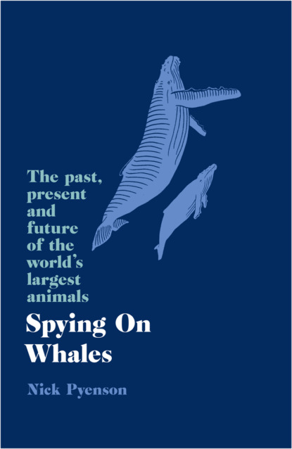 Spying on Whales: The Past, Present and Future of the World’s Largest Animals
