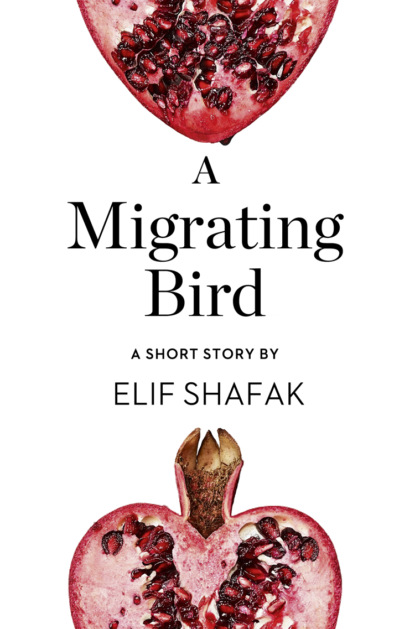 A Migrating Bird: A Short Story from the collection, Reader, I Married Him