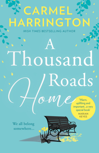 A Thousand Roads Home: ‘A weepy but important book’ Cecelia Ahern