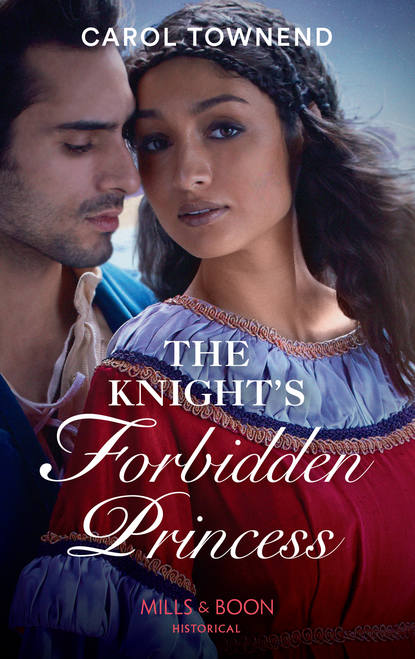 The Knight’s Forbidden Princess