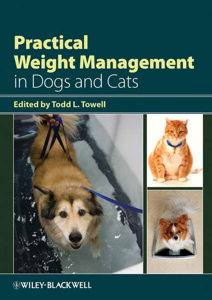 Practical Weight Management in Dogs and Cats