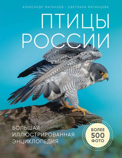 Птицы России. Большая иллюстрированная энциклопедия