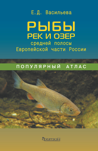 Рыбы рек и озёр средней полосы Европейской части России