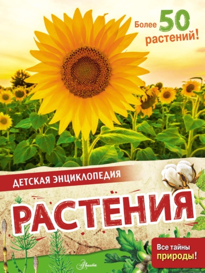 Растения