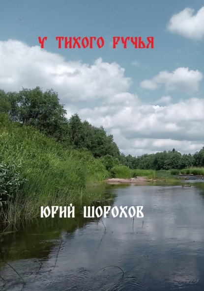 Медный крестик (Юрий Шорохов) – скачать в fb2, epub, pdf на Fenzin
