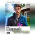 Серый. Яркие будни