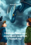 Сборник: %22Мальчик с волшебной палочкой. Первый год%22
