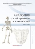 Анатомия костей туловища и конечностей. Рабочая тетрадь