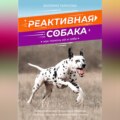 Реактивная собака. Как помочь ей и себе.