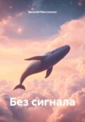 Без сигнала