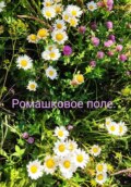 Ромашковое поле.