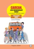 Сапсан, или Прерванный полет 2.2