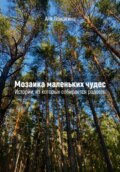 Мозаика маленьких чудес. Истории, из которых собирается радость